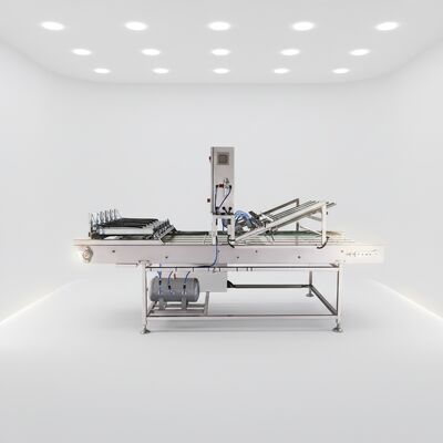 工場直販 自動 マルシャリング 冷却コンベア 砂糖コーン生産ライン