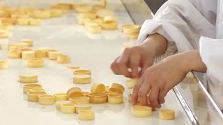 自動鋭い貝の生産ライン